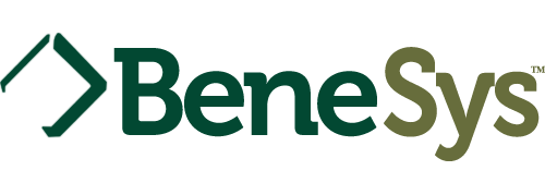 benesys-logo